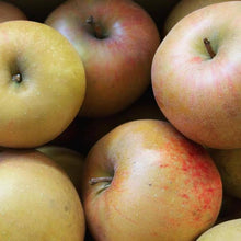 Zabergau Reinette